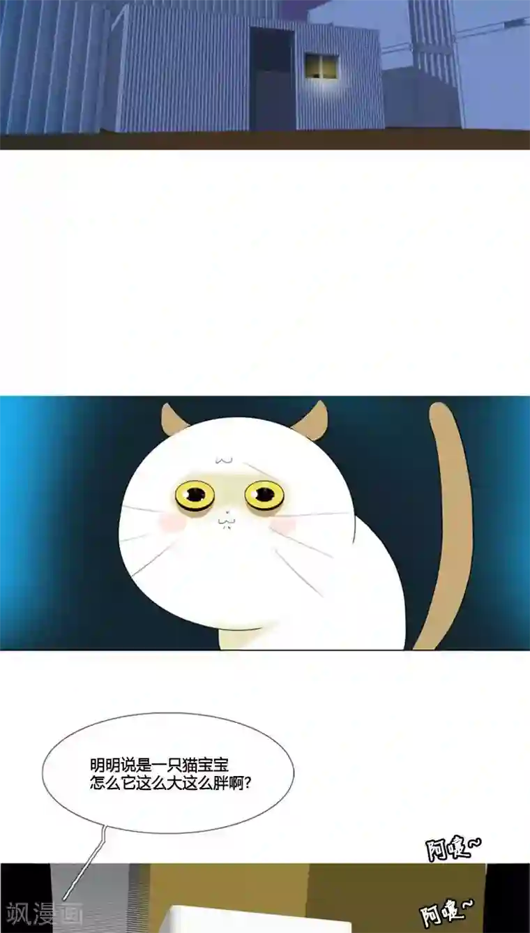 ICE-Cold要员的捡猫事件第66话