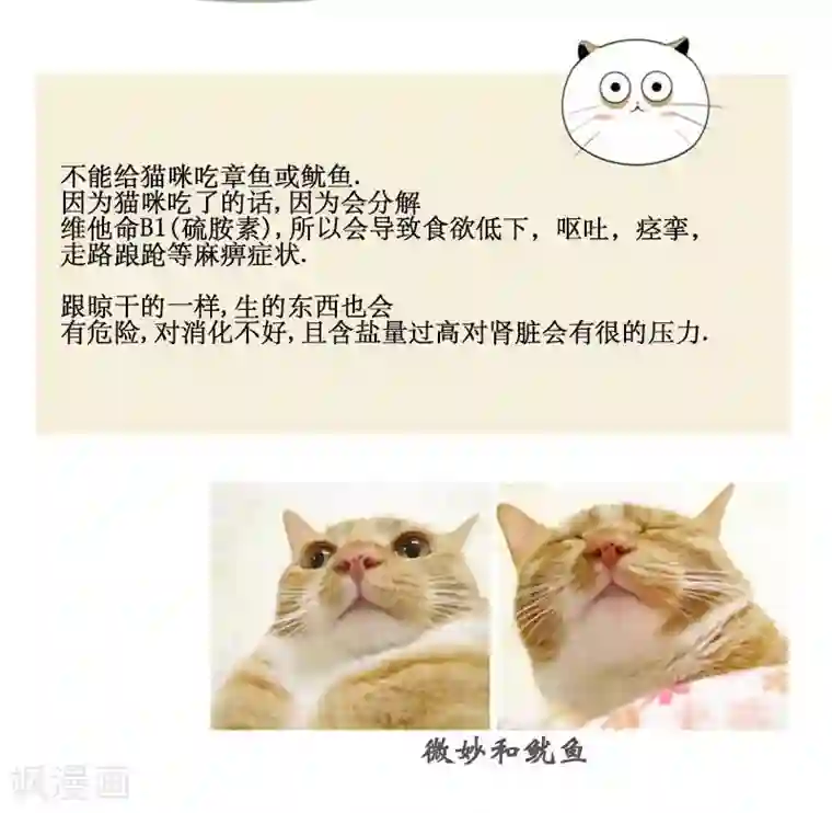 ICE-Cold要员的捡猫事件第66话