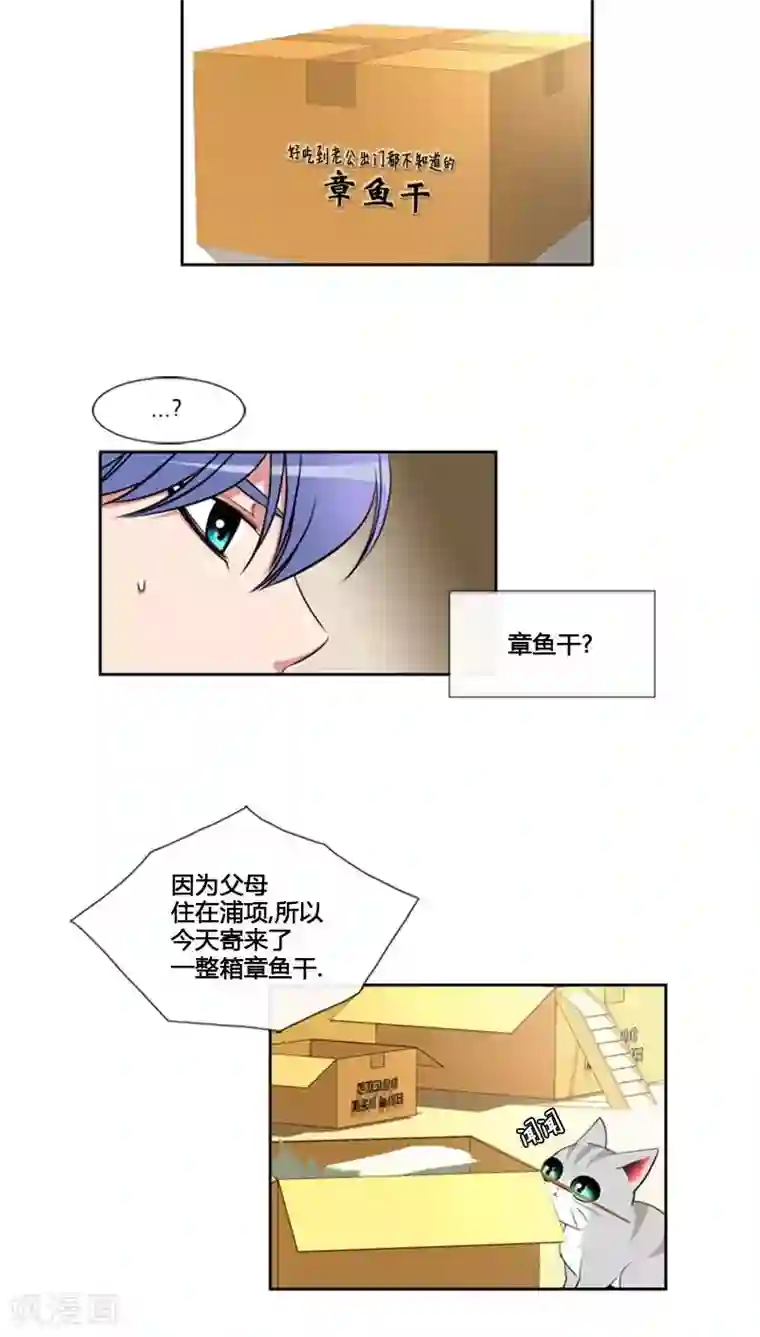 ICE-Cold要员的捡猫事件第66话