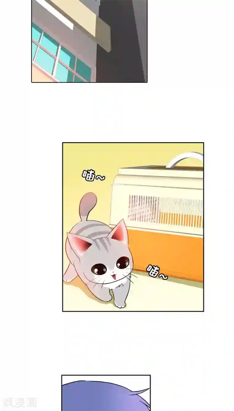ICE-Cold要员的捡猫事件第67话
