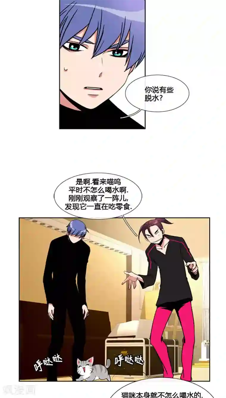 ICE-Cold要员的捡猫事件第67话