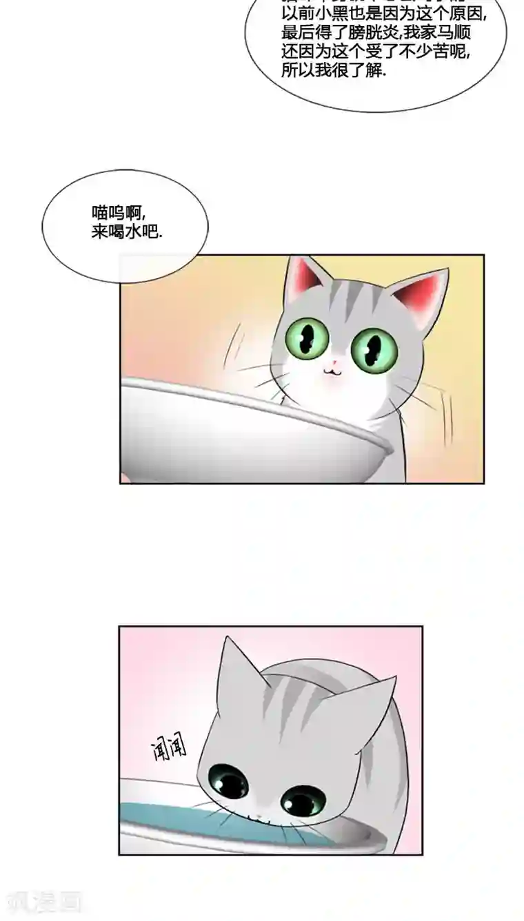 ICE-Cold要员的捡猫事件第67话