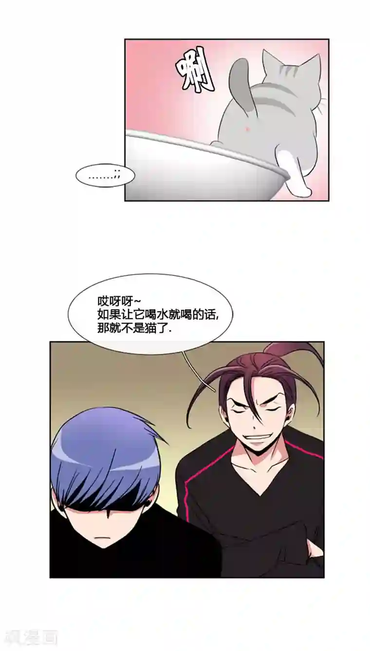 ICE-Cold要员的捡猫事件第67话