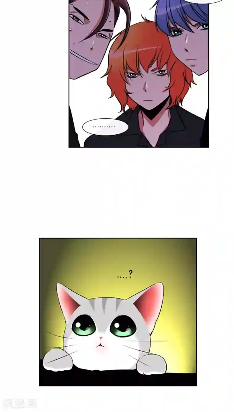 ICE-Cold要员的捡猫事件第67话