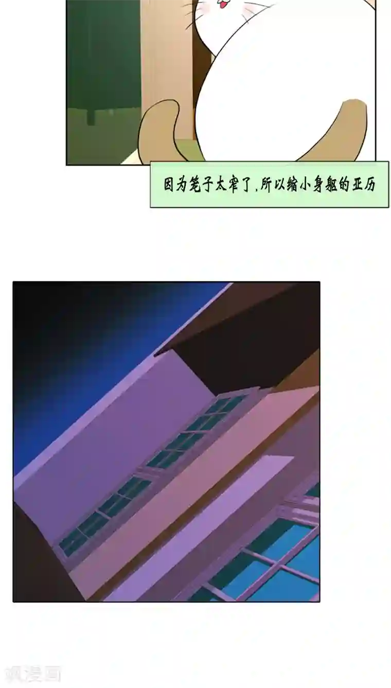 ICE-Cold要员的捡猫事件第67话