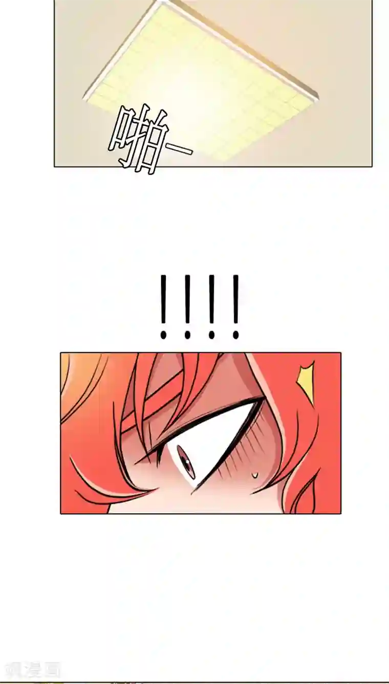 ICE-Cold要员的捡猫事件第67话