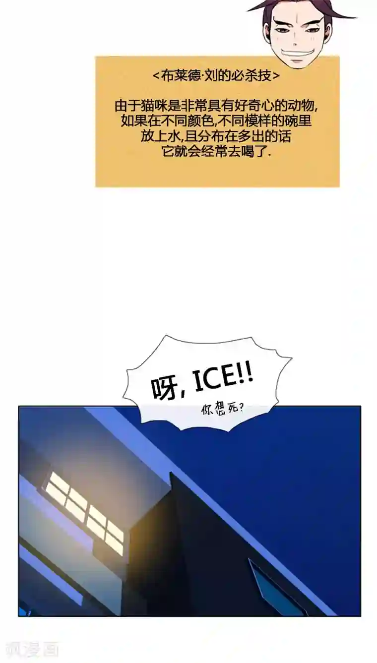 ICE-Cold要员的捡猫事件第67话