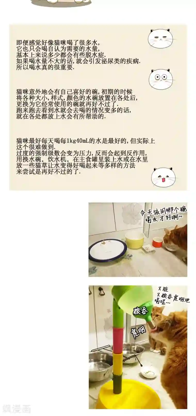 ICE-Cold要员的捡猫事件第67话