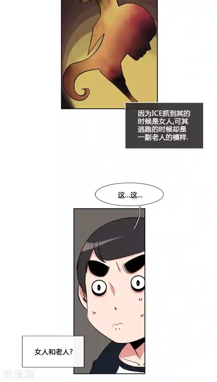 ICE-Cold要员的捡猫事件第67话