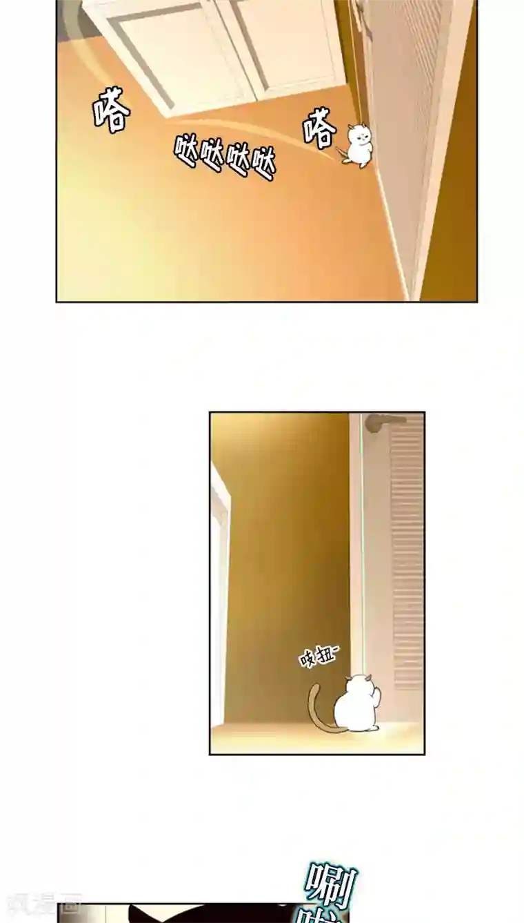 ICE-Cold要员的捡猫事件第68话