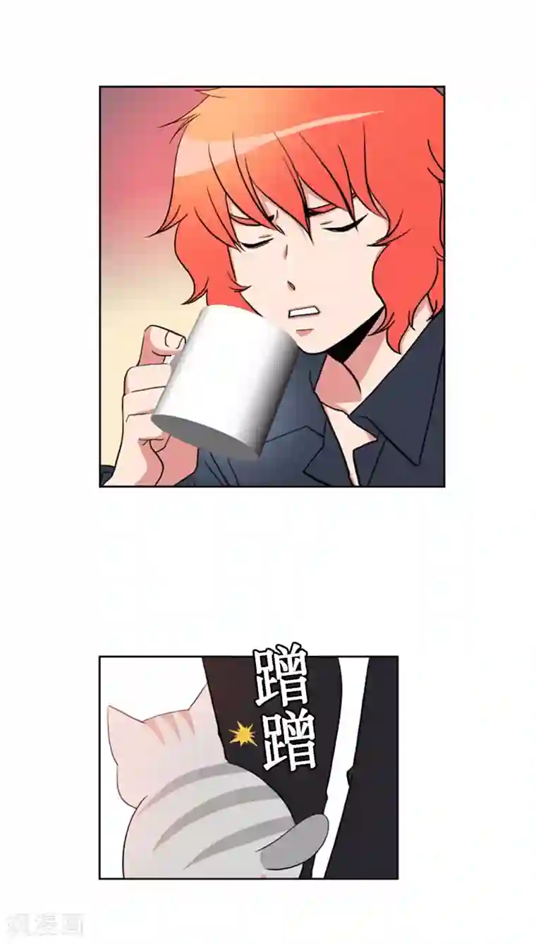 ICE-Cold要员的捡猫事件第68话