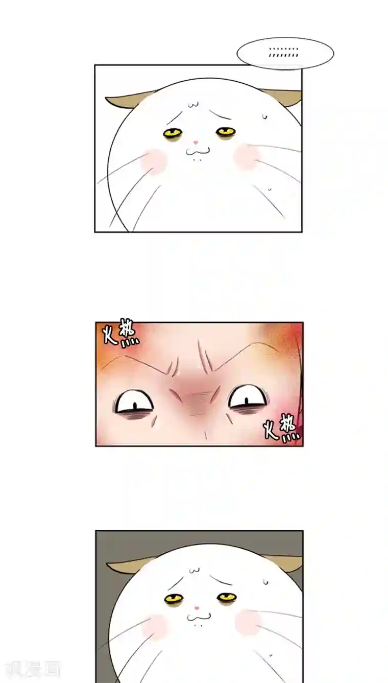 ICE-Cold要员的捡猫事件第68话