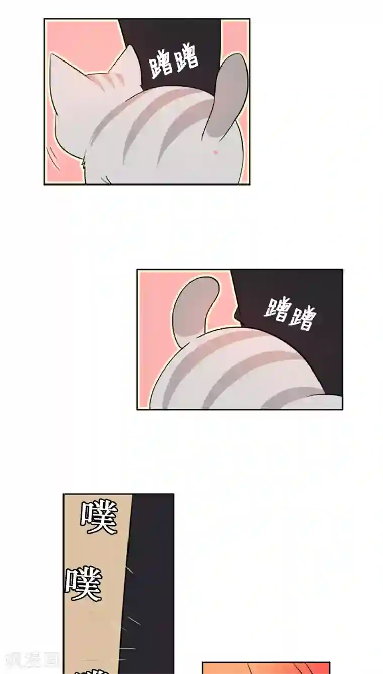 ICE-Cold要员的捡猫事件第68话