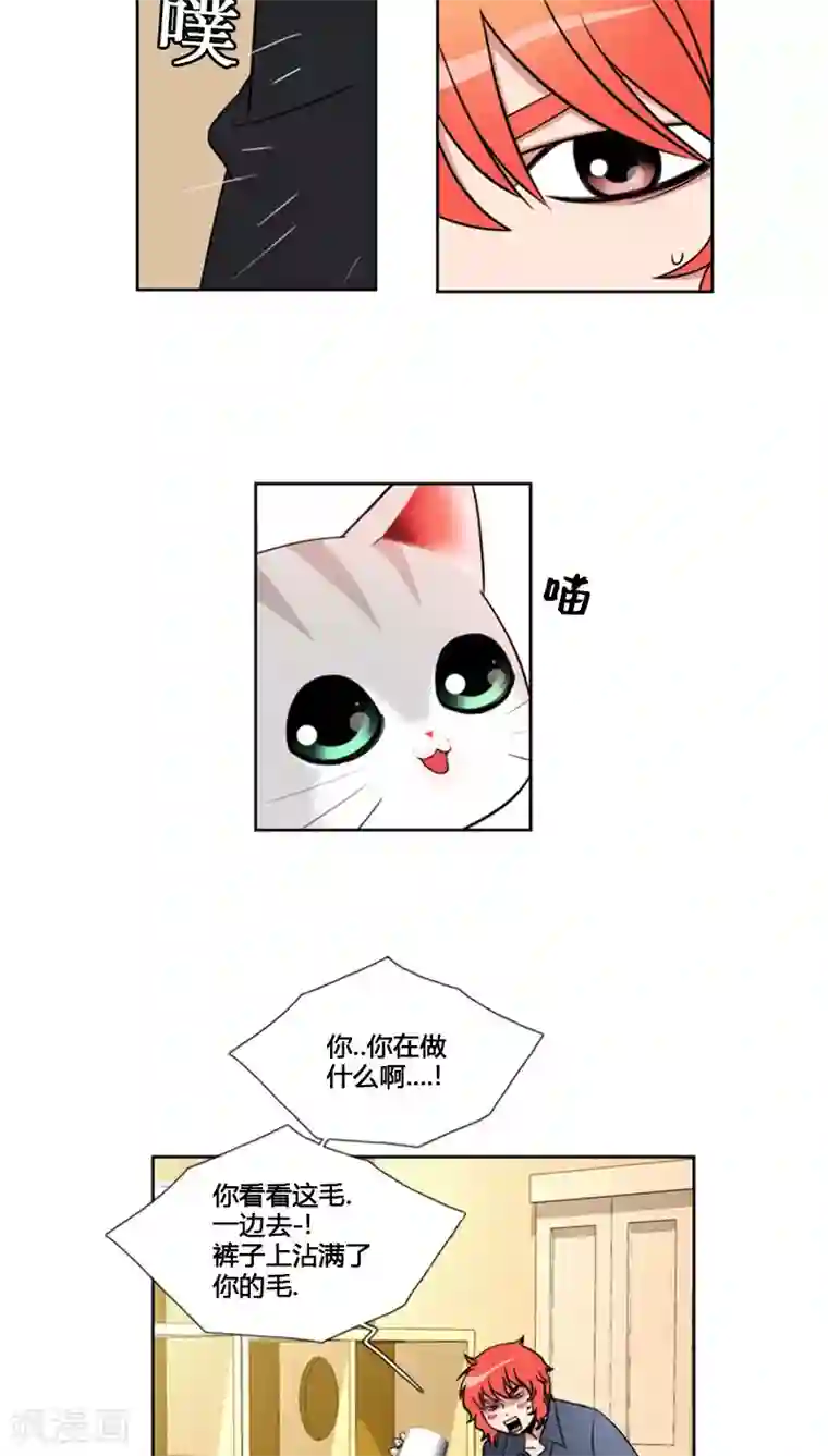 ICE-Cold要员的捡猫事件第68话