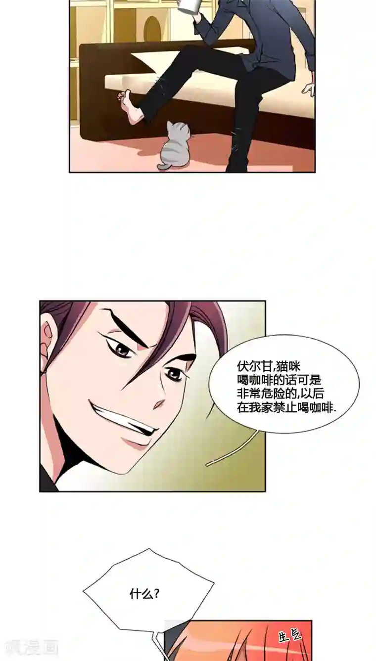 ICE-Cold要员的捡猫事件第68话