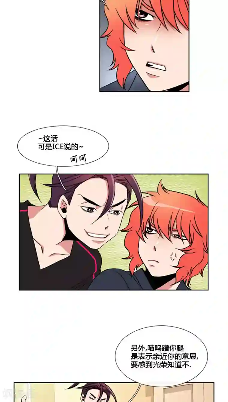 ICE-Cold要员的捡猫事件第68话