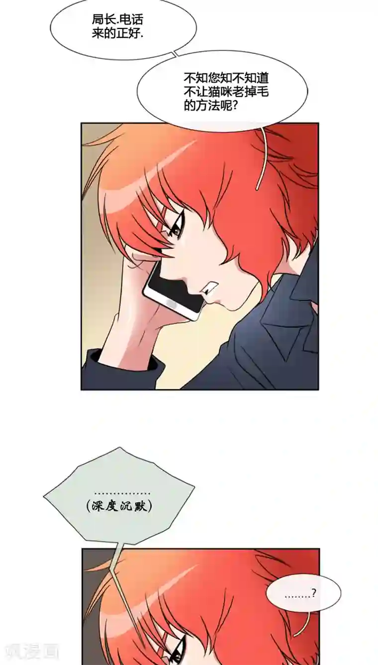 ICE-Cold要员的捡猫事件第68话
