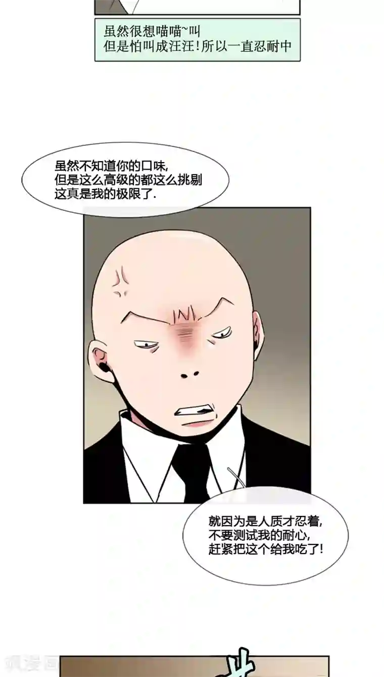 ICE-Cold要员的捡猫事件第68话