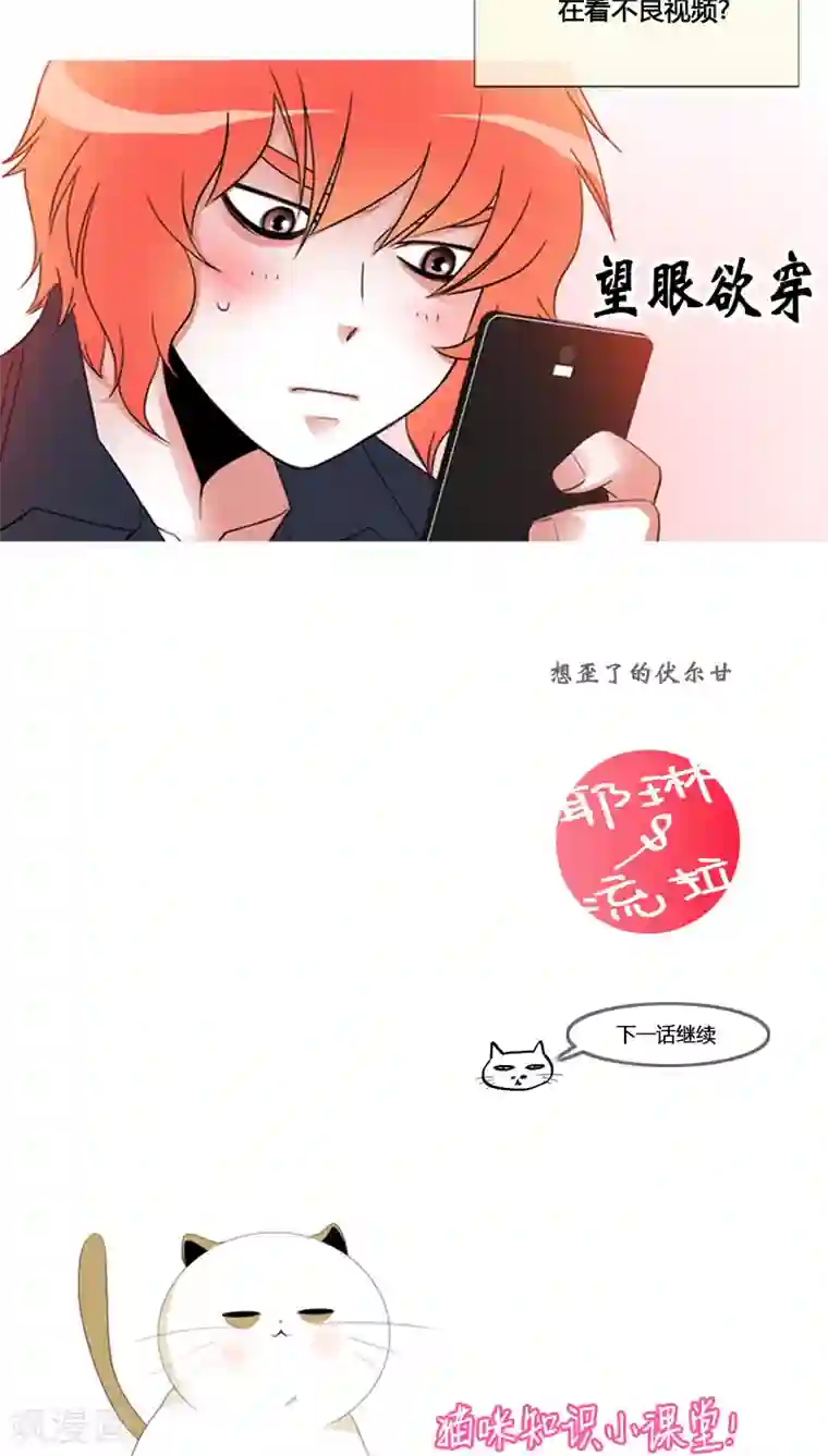 ICE-Cold要员的捡猫事件第68话