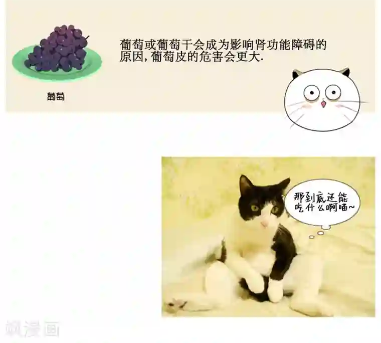 ICE-Cold要员的捡猫事件第68话