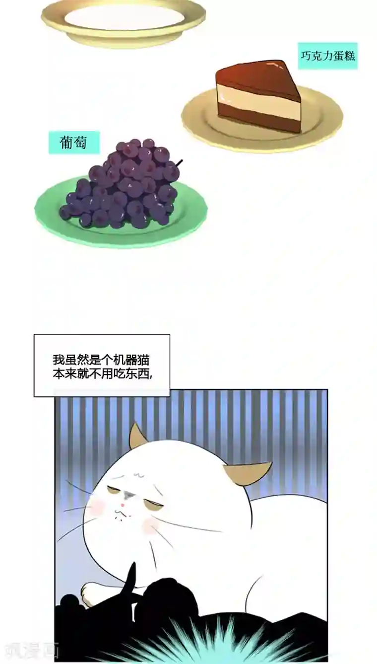 ICE-Cold要员的捡猫事件第68话
