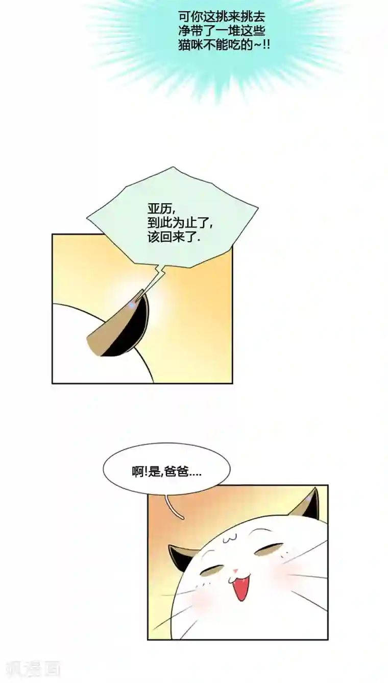 ICE-Cold要员的捡猫事件第68话