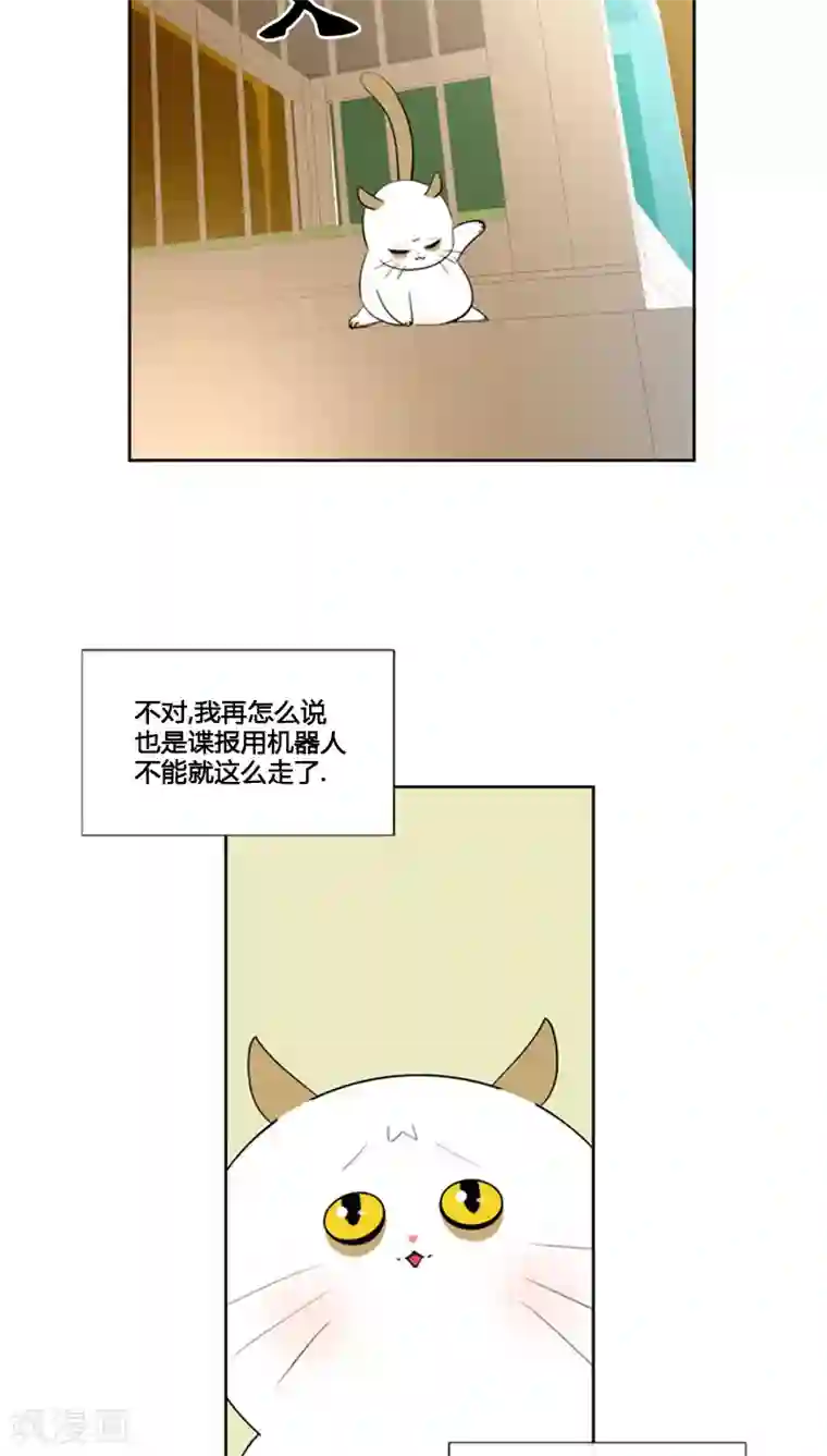 ICE-Cold要员的捡猫事件第68话