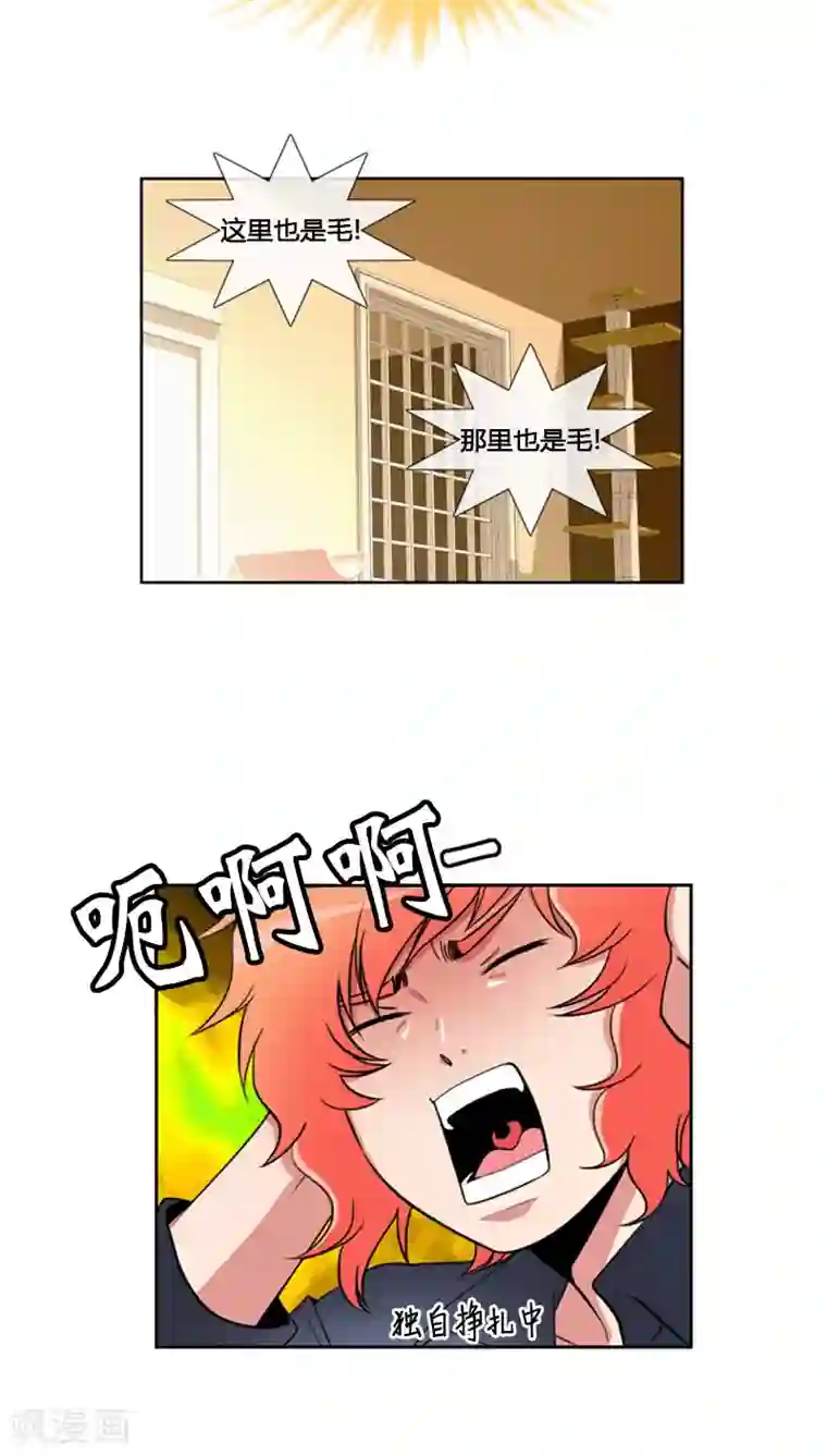 ICE-Cold要员的捡猫事件第69话