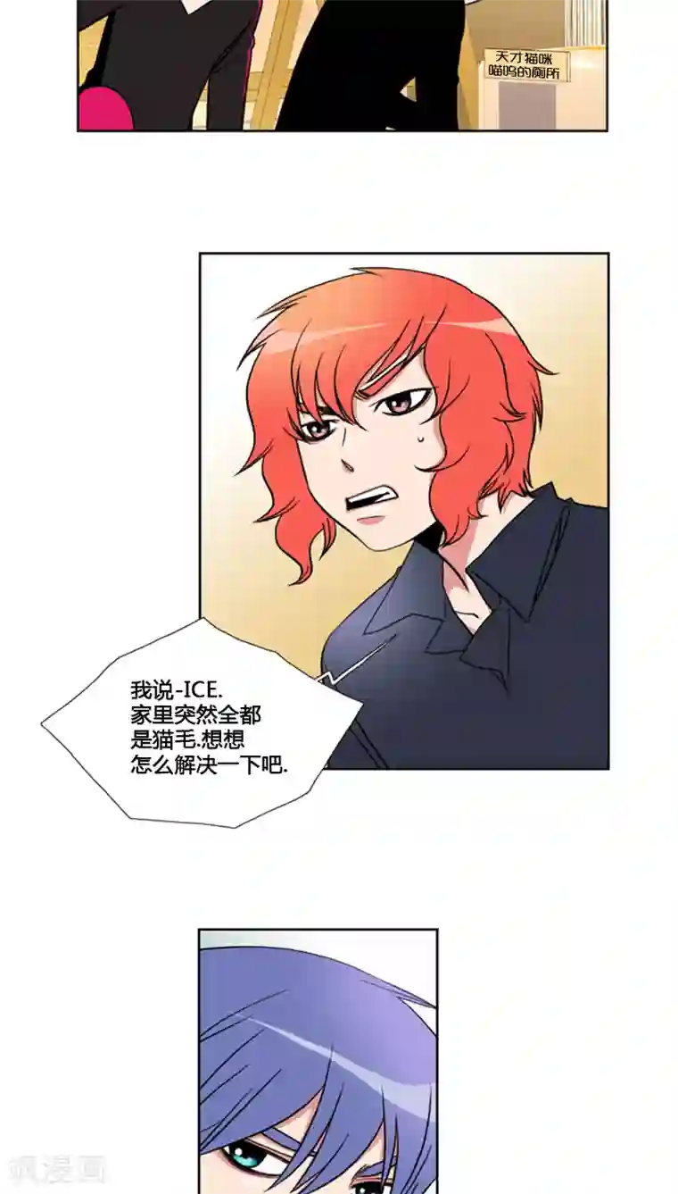 ICE-Cold要员的捡猫事件第69话