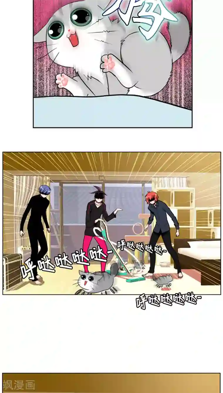 ICE-Cold要员的捡猫事件第69话