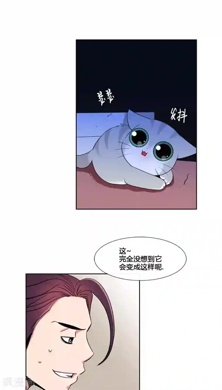 ICE-Cold要员的捡猫事件第69话