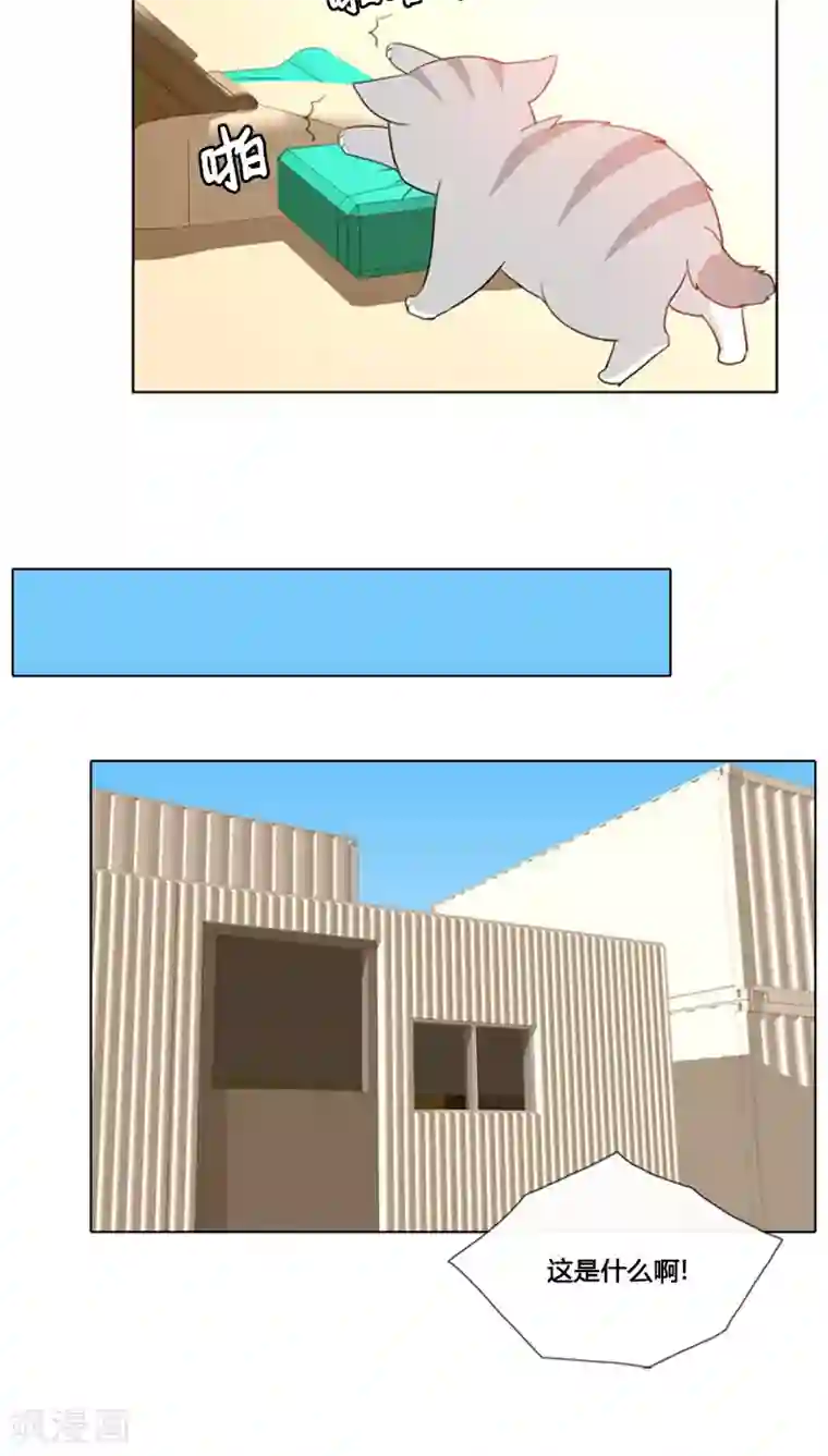 ICE-Cold要员的捡猫事件第69话