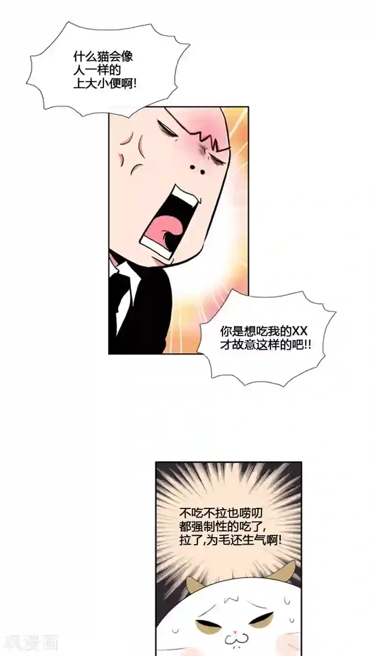 ICE-Cold要员的捡猫事件第69话