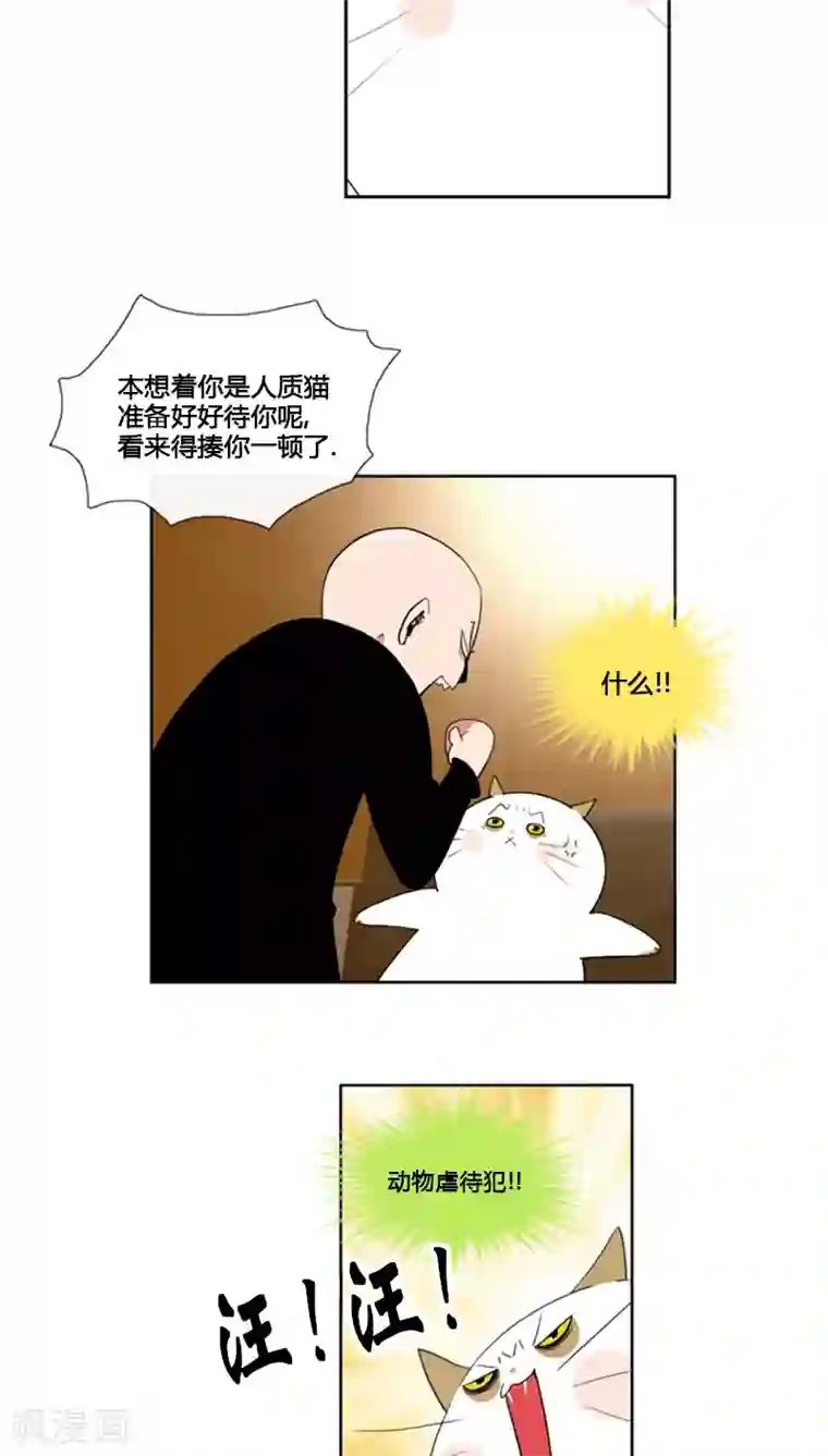 ICE-Cold要员的捡猫事件第69话