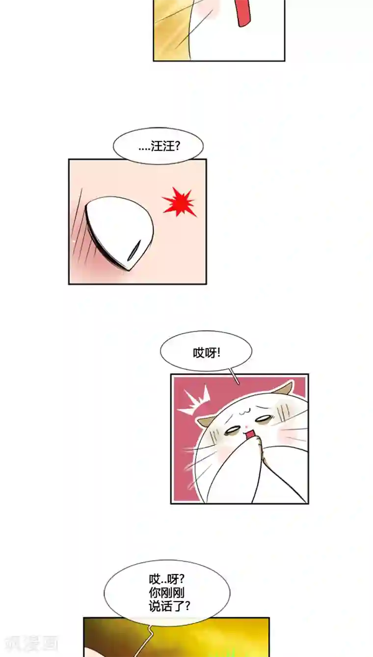 ICE-Cold要员的捡猫事件第69话