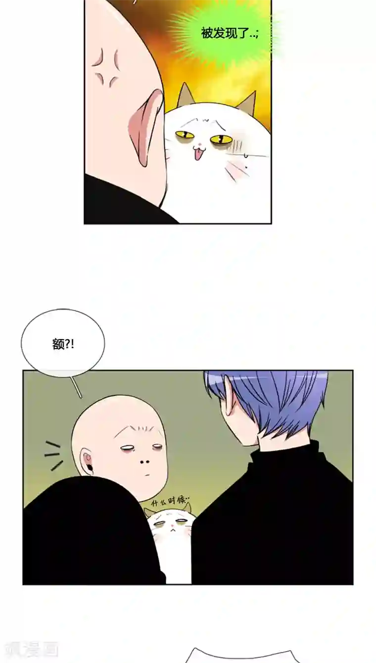 ICE-Cold要员的捡猫事件第69话