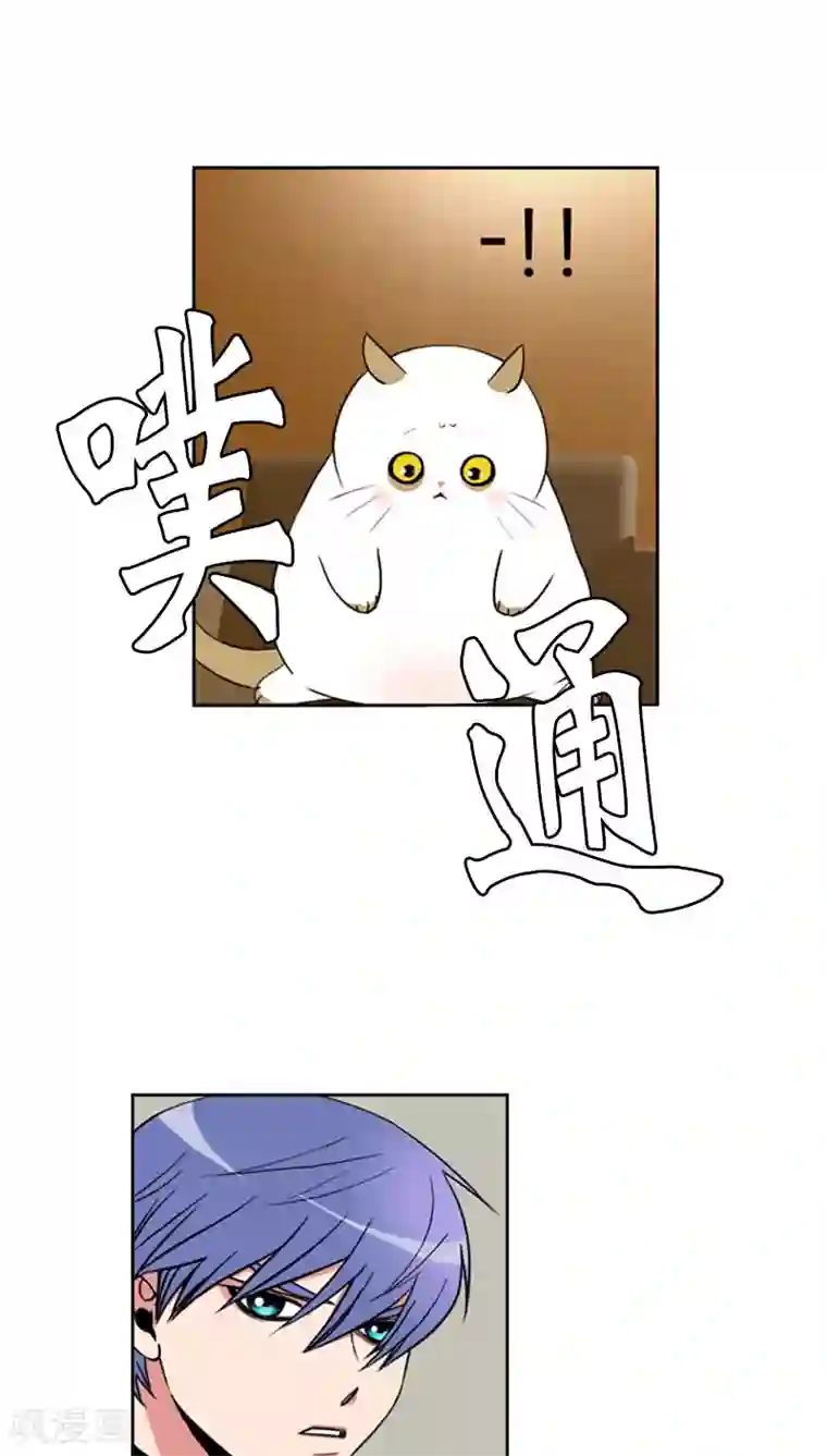ICE-Cold要员的捡猫事件第69话