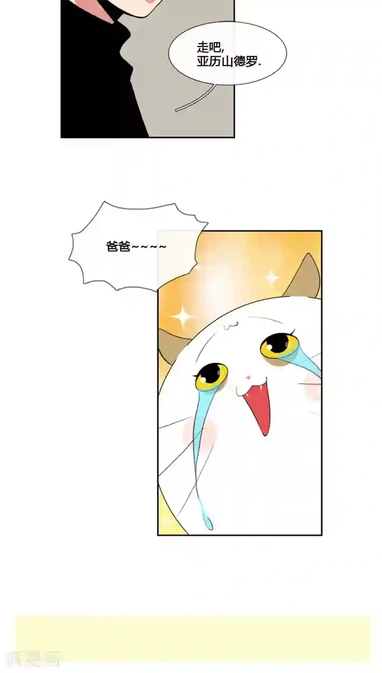 ICE-Cold要员的捡猫事件第69话