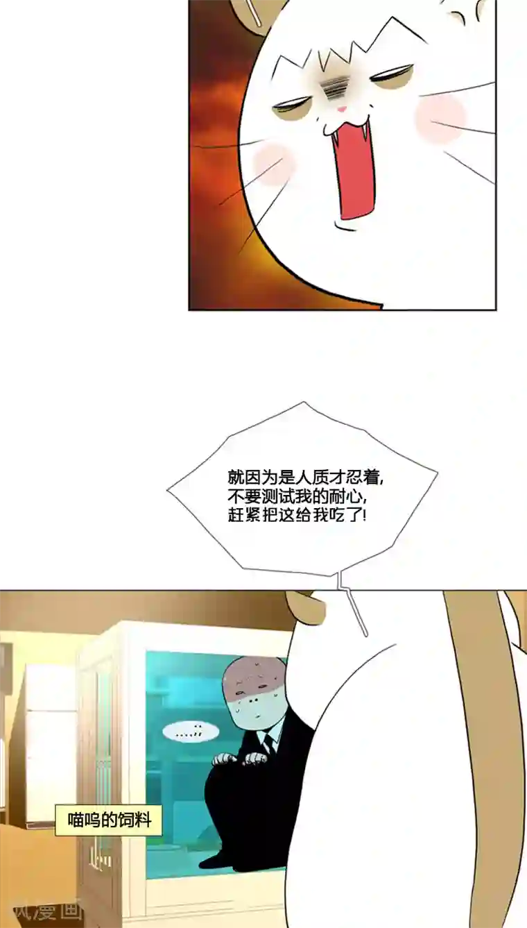 ICE-Cold要员的捡猫事件第69话