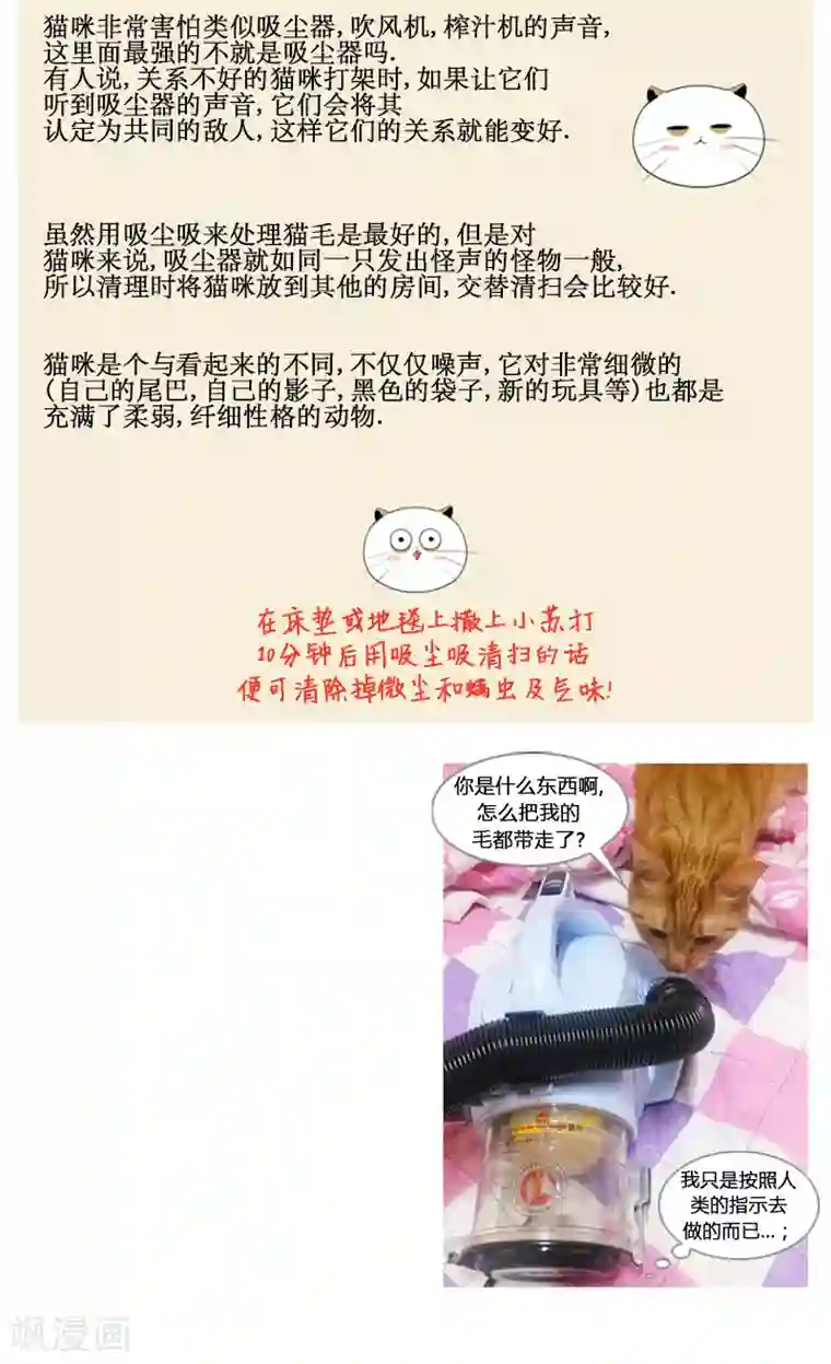 ICE-Cold要员的捡猫事件第69话