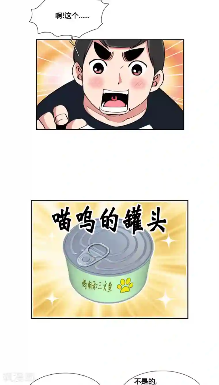 ICE-Cold要员的捡猫事件第69话