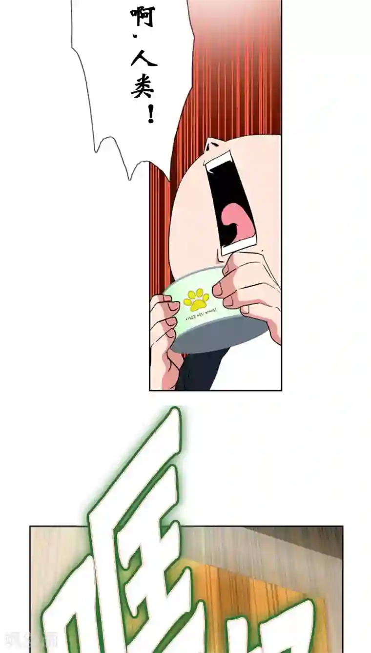 ICE-Cold要员的捡猫事件第69话