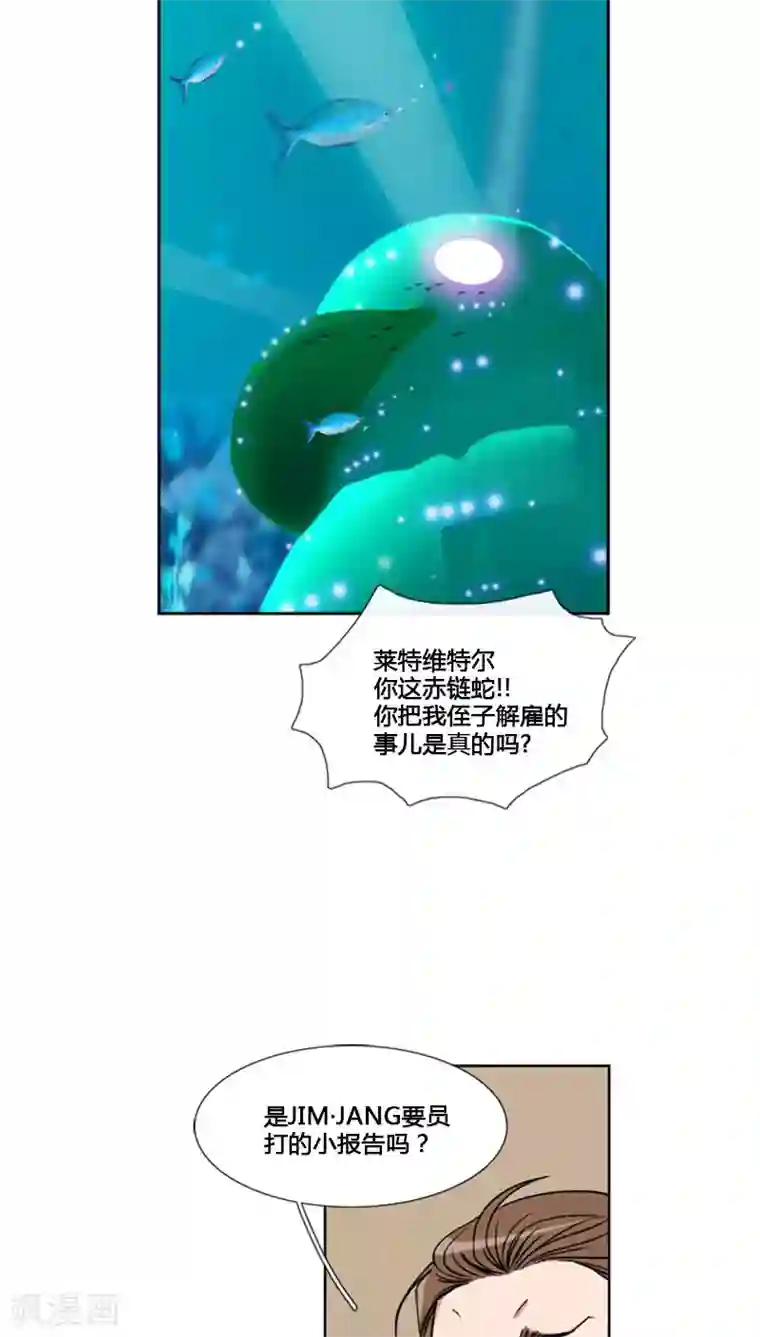 ICE-Cold要员的捡猫事件第70话