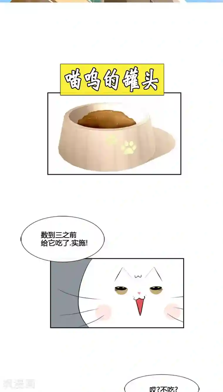 ICE-Cold要员的捡猫事件第70话