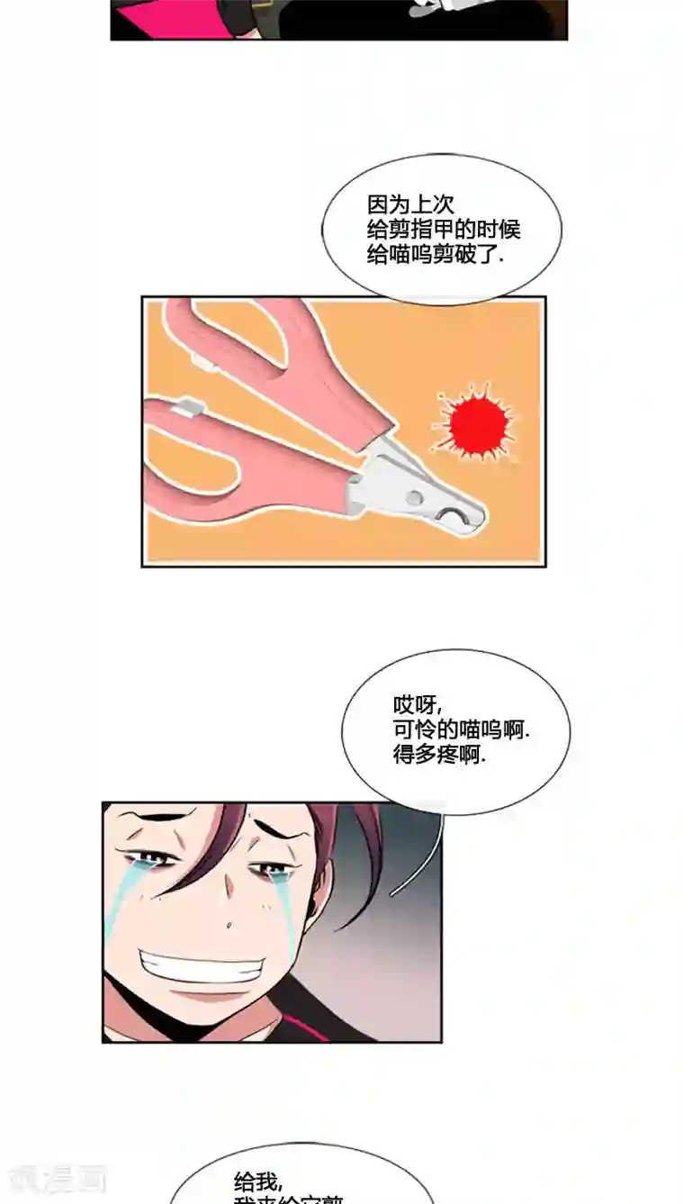 ICE-Cold要员的捡猫事件第70话