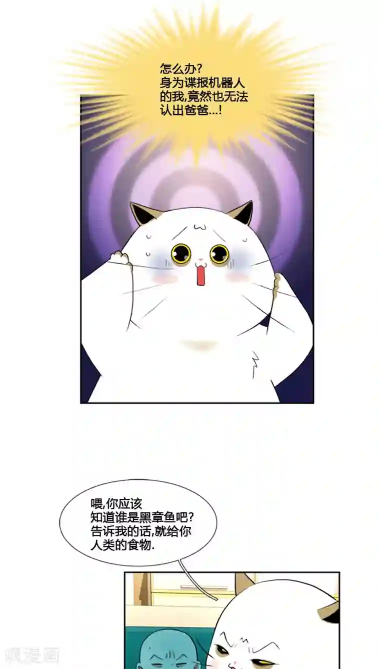 ICE-Cold要员的捡猫事件第70话