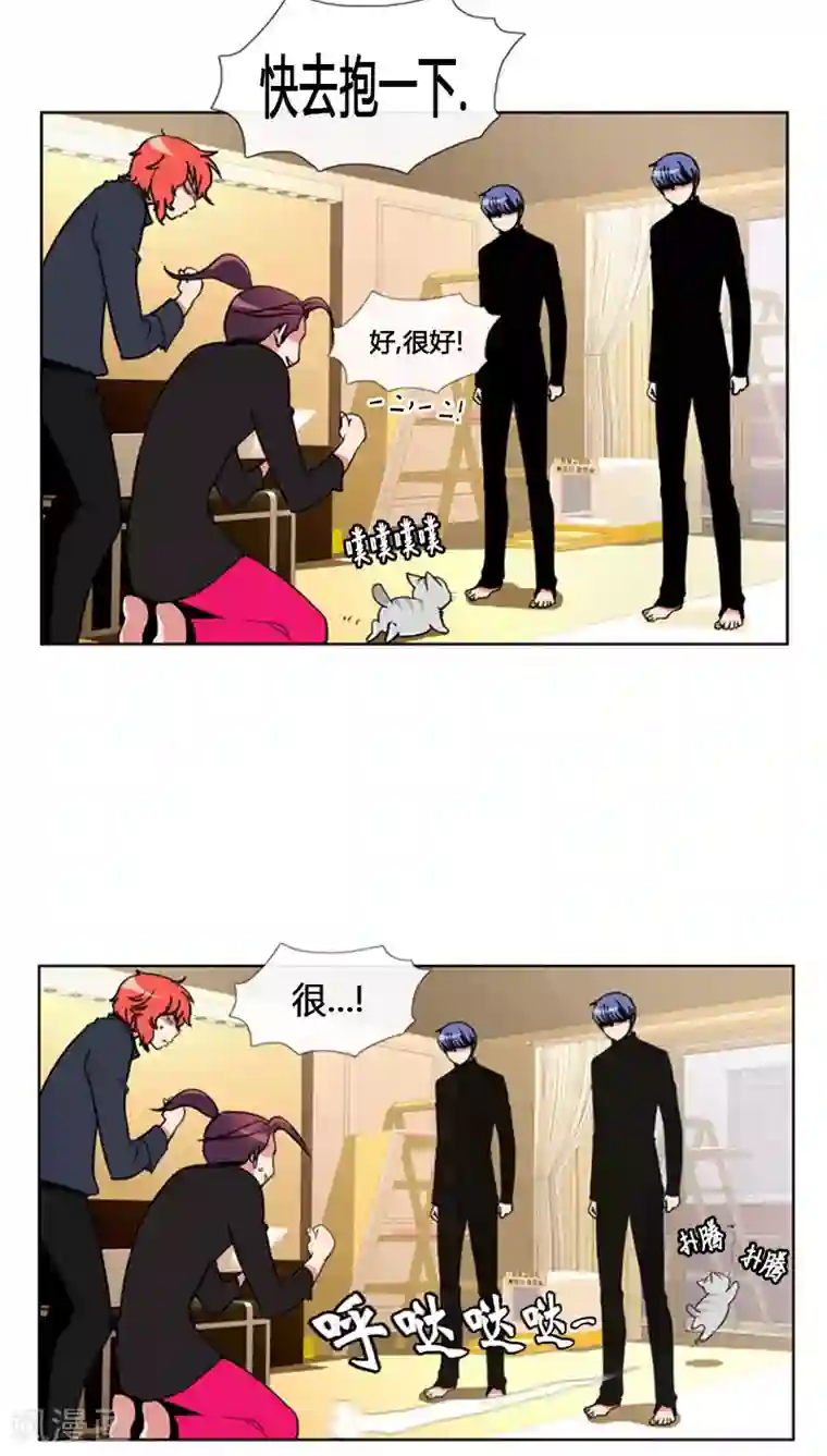 ICE-Cold要员的捡猫事件第70话