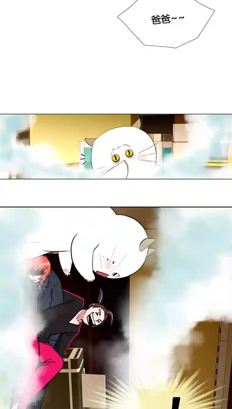 ICE-Cold要员的捡猫事件第70话