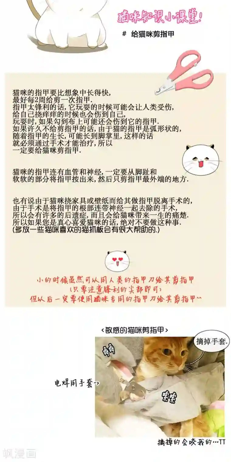 ICE-Cold要员的捡猫事件第70话