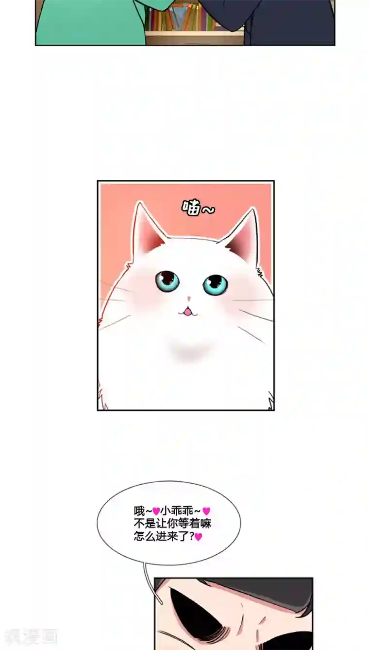 ICE-Cold要员的捡猫事件第70话